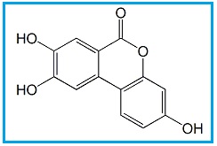 Urolithin C